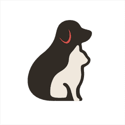 Logo Dra. Bianca Santos