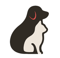 Logo Dra. Bianca Santos