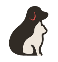 Logo Dra. Bianca Santos